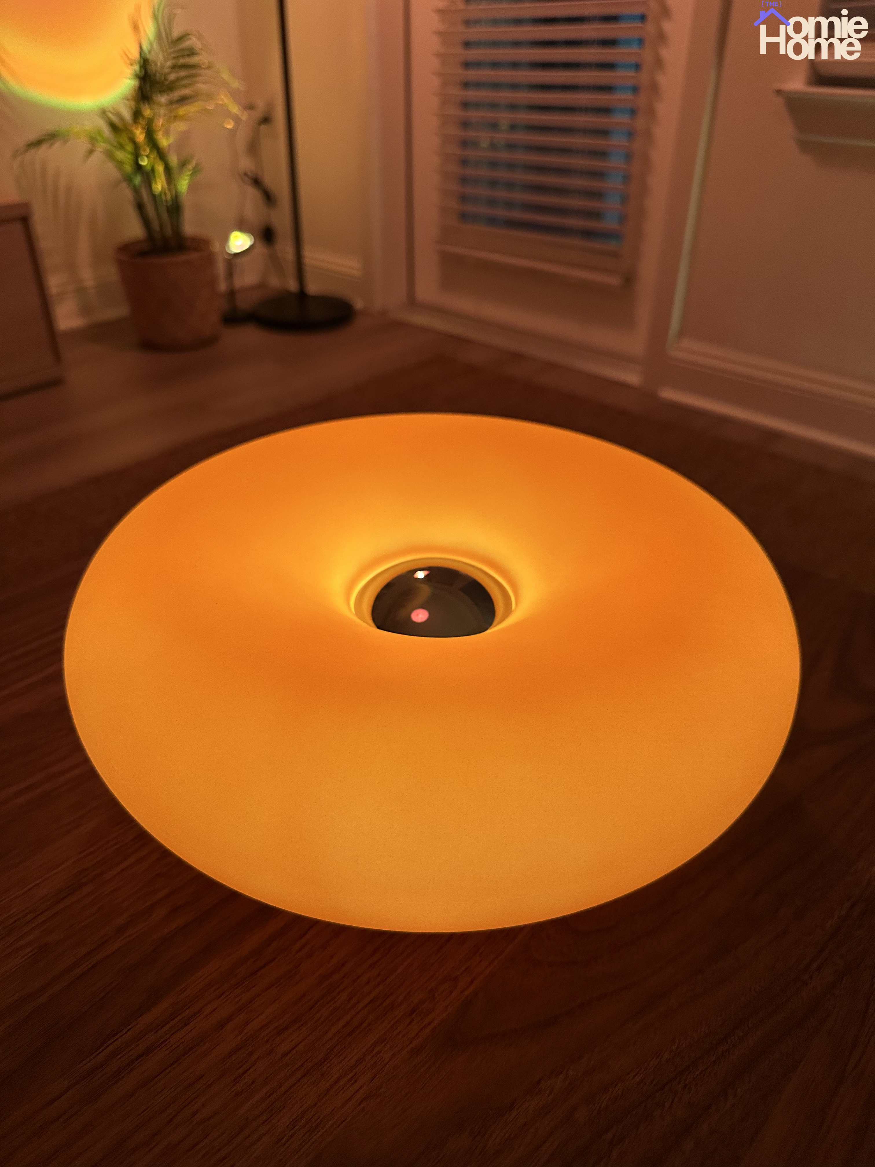 Donut Lamp