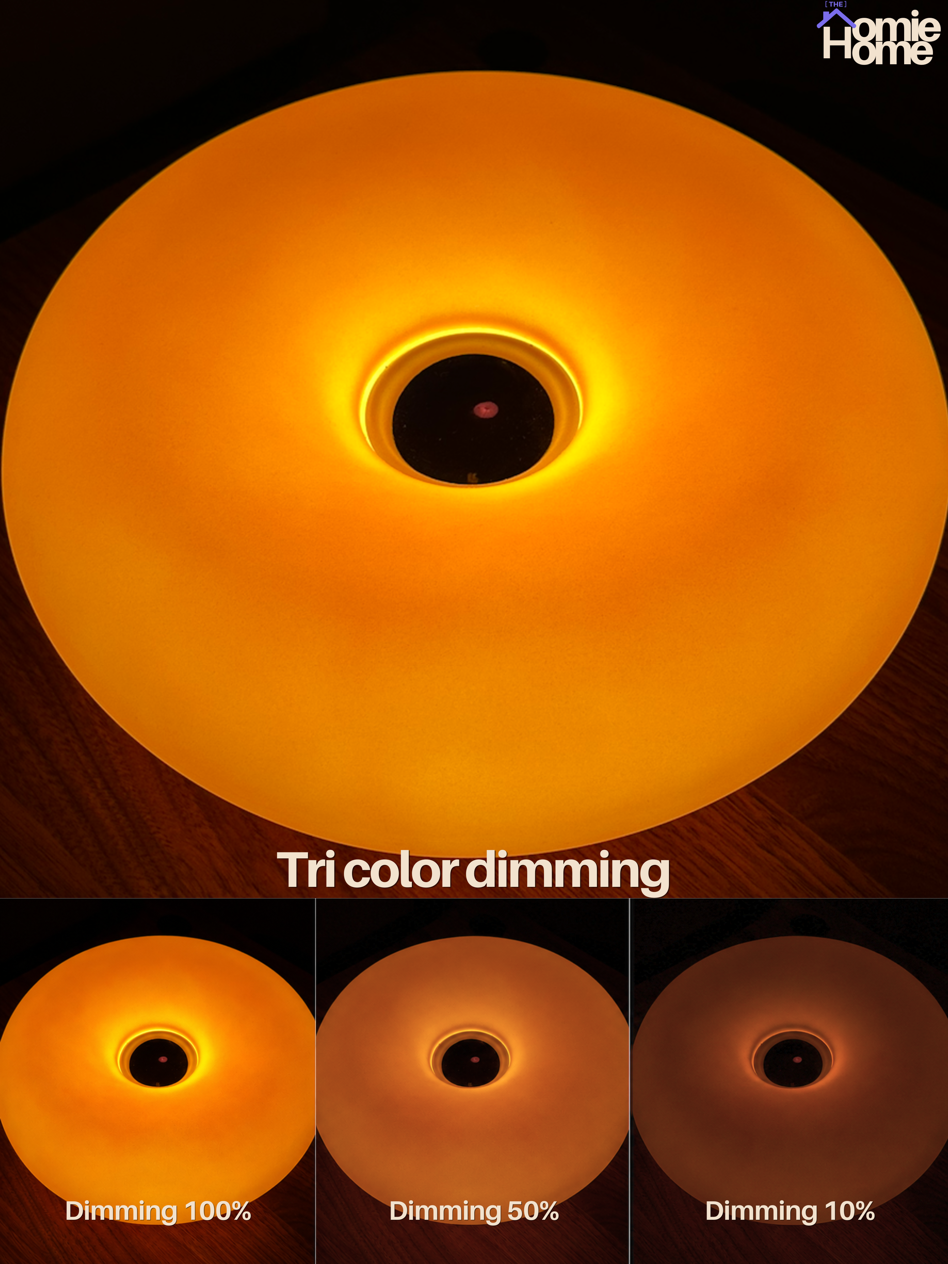 Donut Lamp