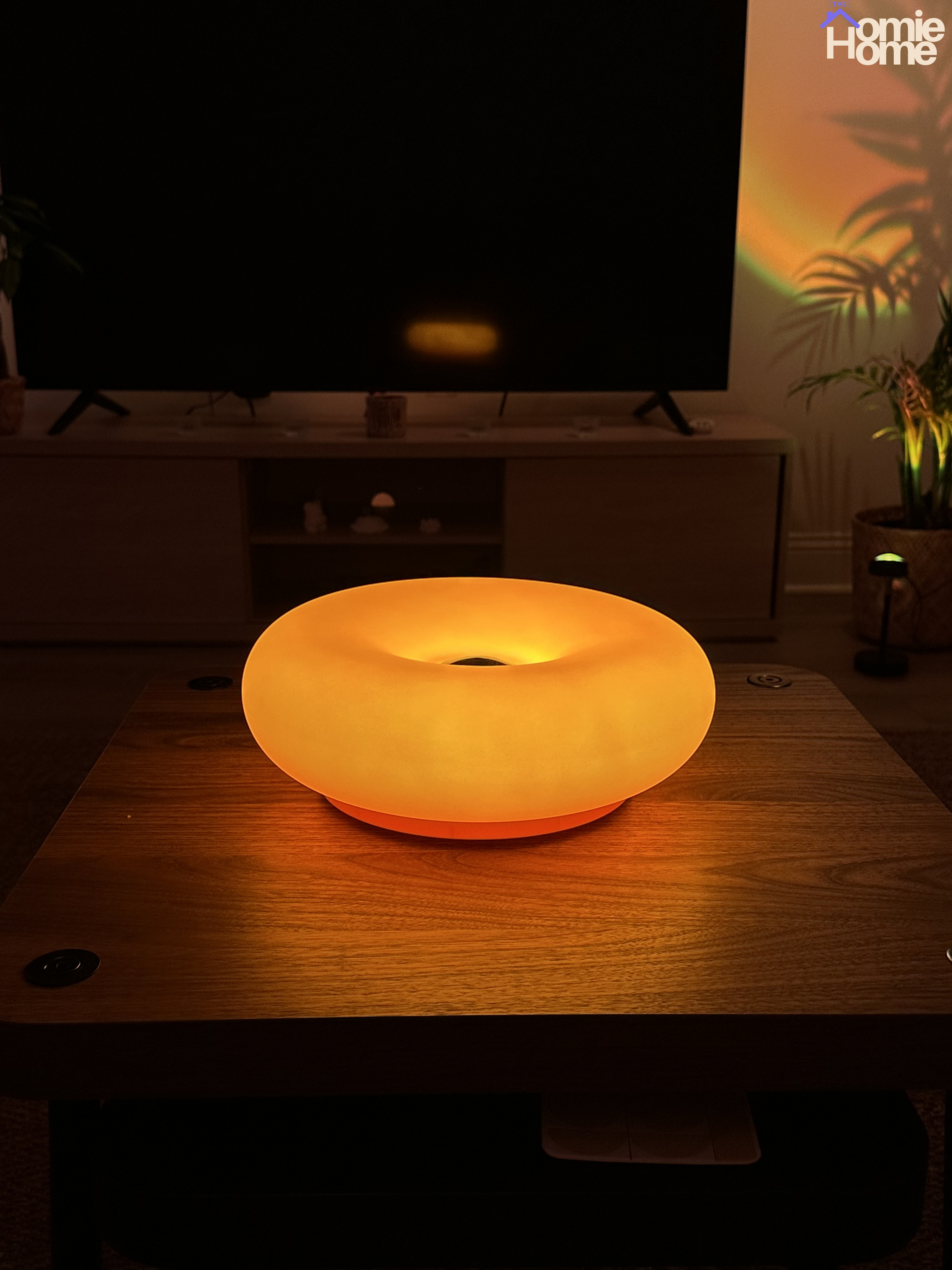 Donut Lamp