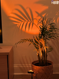 Sunset Lamp