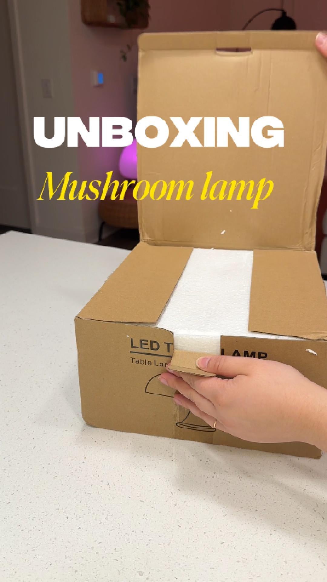 Orange Mushroom Lamp
